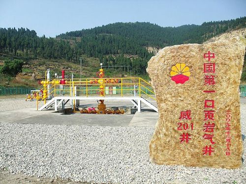 參與完成中國(guó)第一口頁巖氣井的試用開發(fā)
